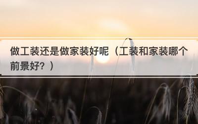 做工装还是做家装好呢（工装和家装哪个前景好？）