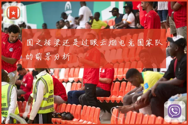 国之栋梁还是过眼云烟电竞国家队的前景分析