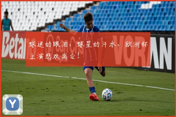球迷的眼泪,球星的汗水,欧洲杯上演悲欢离合!
