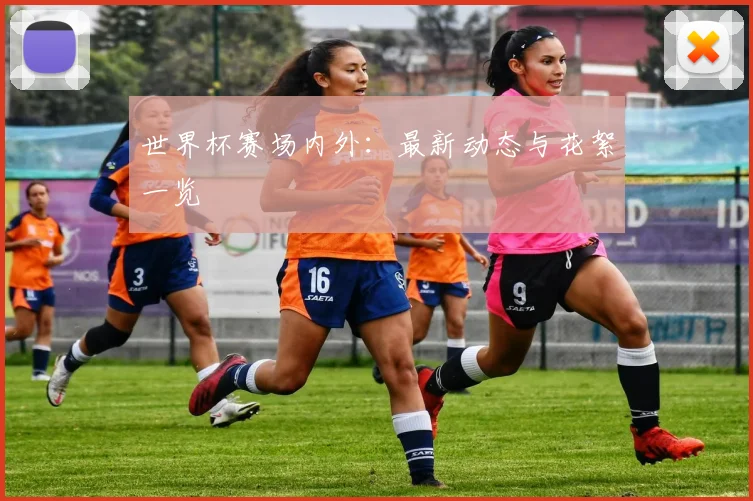 世界杯赛场内外：最新动态与花絮一览