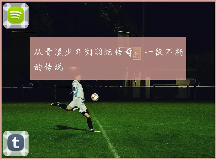 从青涩少年到羽坛传奇,一段不朽的传说
