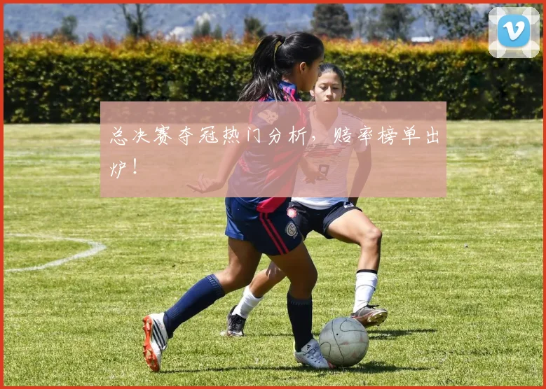 总决赛夺冠热门分析,赔率榜单出炉!