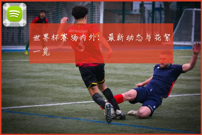 世界杯赛场内外:最新动态与花絮一览