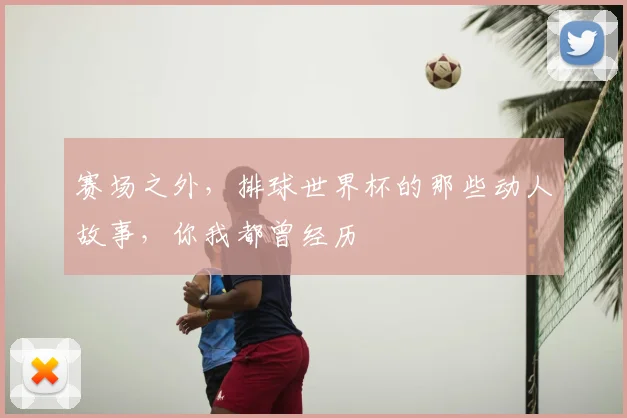 赛场之外,排球世界杯的那些动人故事,你我都曾经历